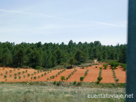 Siete Aguas. Valencia.